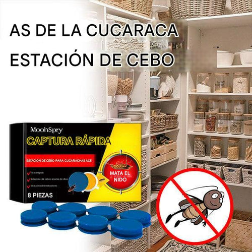 Eliminación de Cafardos en Horas con Roach Ace Bait Station